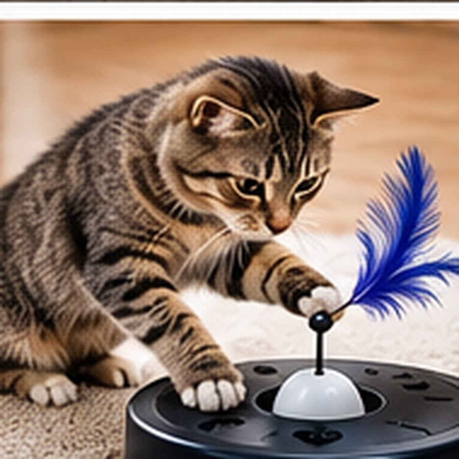 Play & Enrichment — representative promotional image
