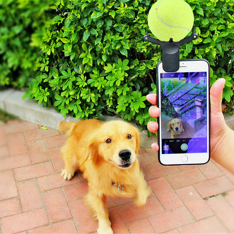 Pet Selfie Phone Clip – Ball Holder – product image 5