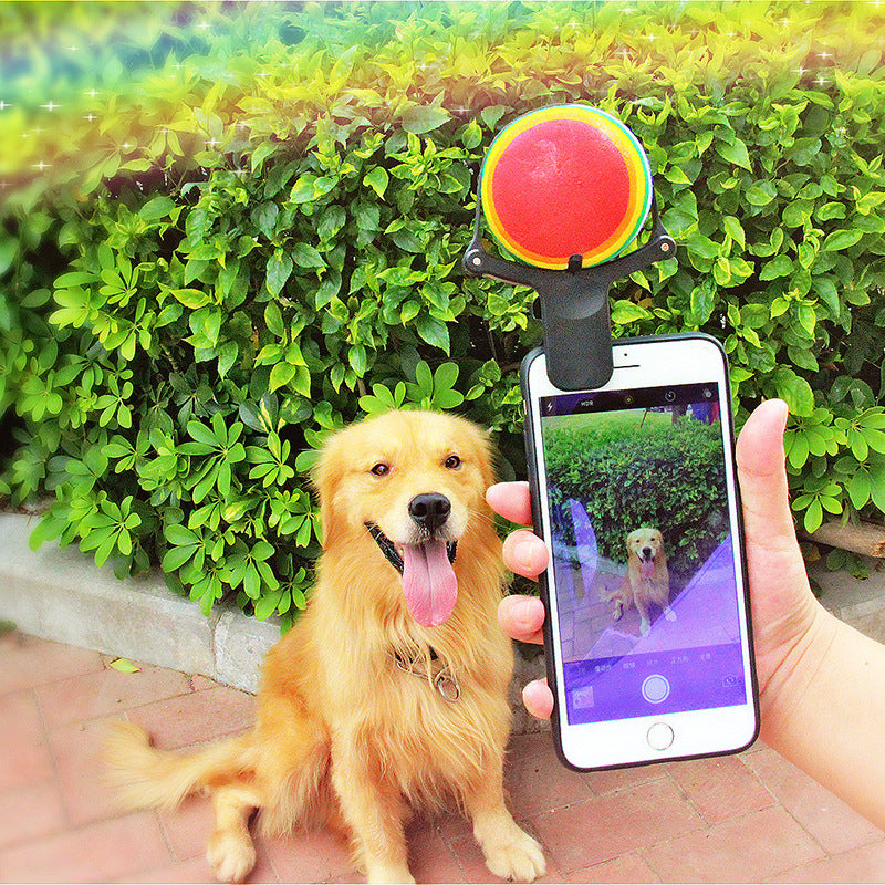 Pet Selfie Phone Clip - Ball Holder