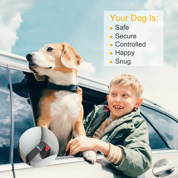 Adjustable Dog Car Travel Tethers – 2 Pack – product image 5