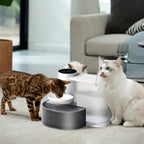 3 L Cordless Rechargeable Pet Water Fountain – product image 10