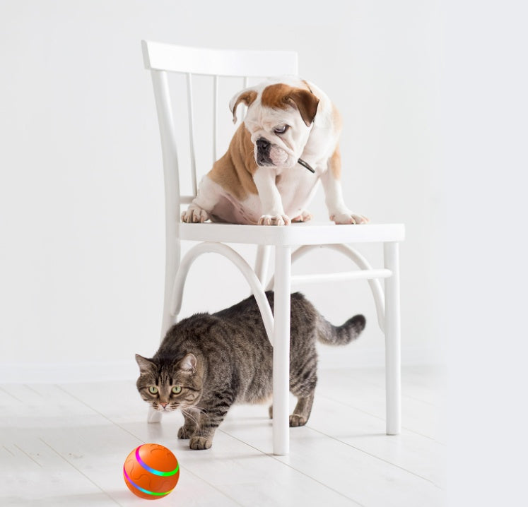 Rechargeable Self-Rolling Cat Play Ball – product image 5